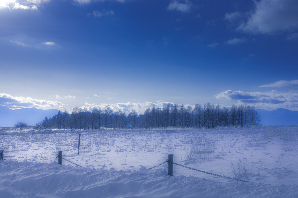 雪の原