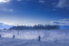 雪の原