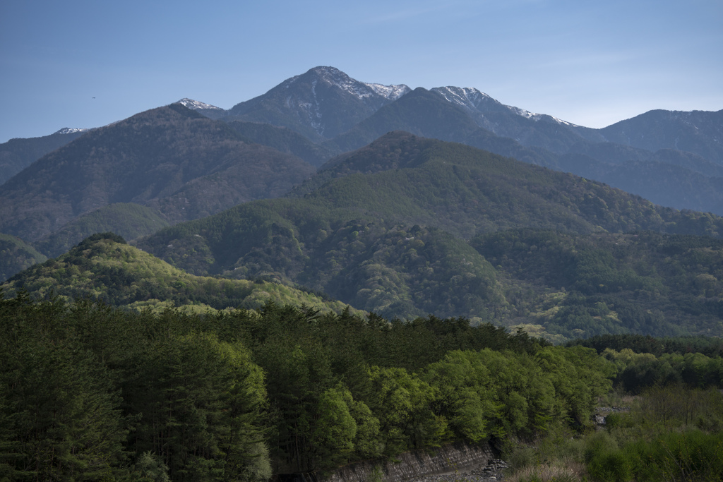 新緑と山