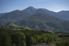新緑と山