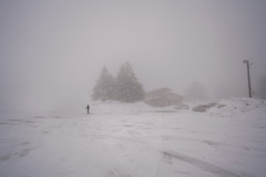 雪降りの中