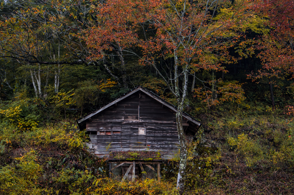 秋の小屋