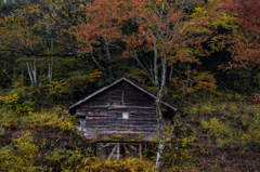 秋の小屋