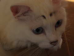 やってはいけないこと