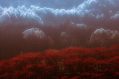 近くの山の紅葉