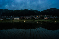 夜の田んぼ