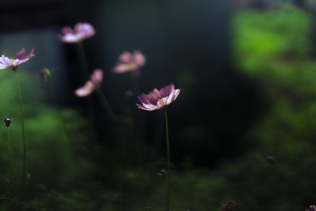 憂鬱