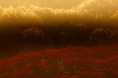 山の紅葉（焼き直し）