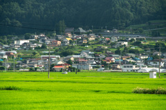 田んぼと風景