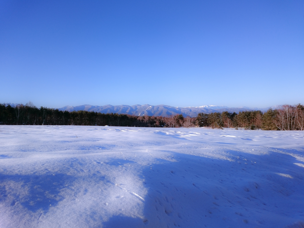 雪の原