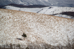 雪の丘