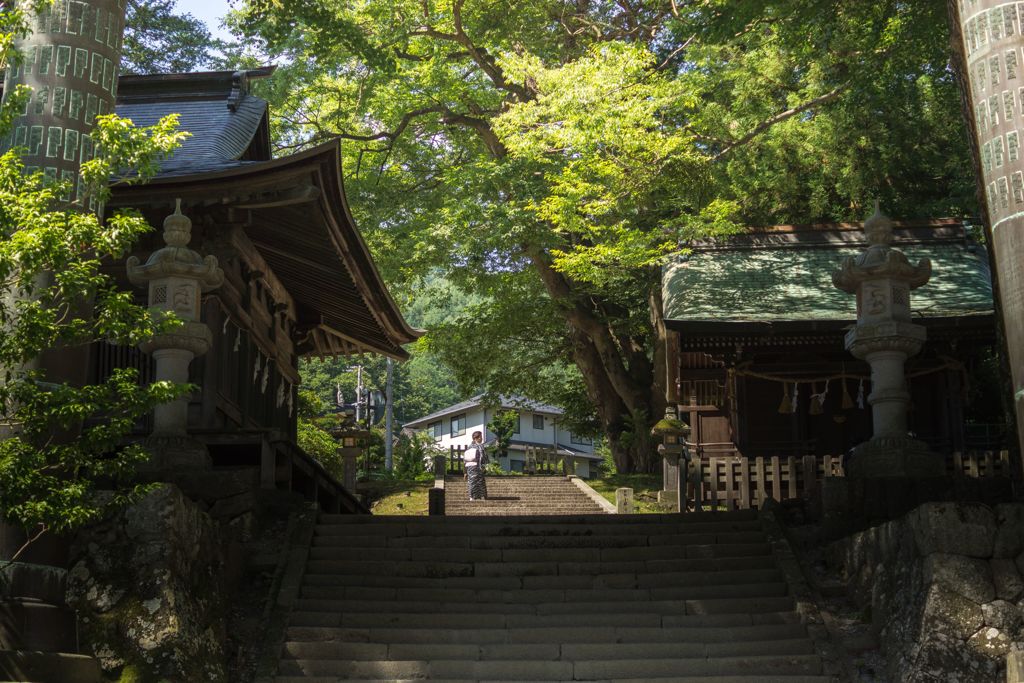 夏の神社