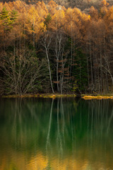 MN