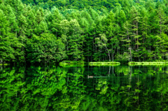 水鏡の揺らぎ