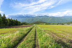 いつもの風景