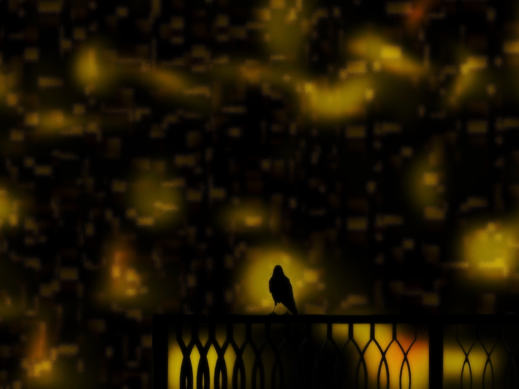 夜の烏