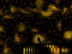 夜の烏
