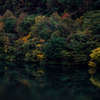 ダム湖の紅葉