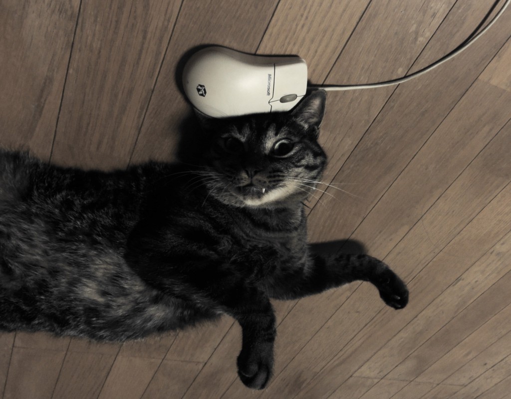ねことねずみ 