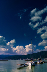 これといって何も無い夏の午後