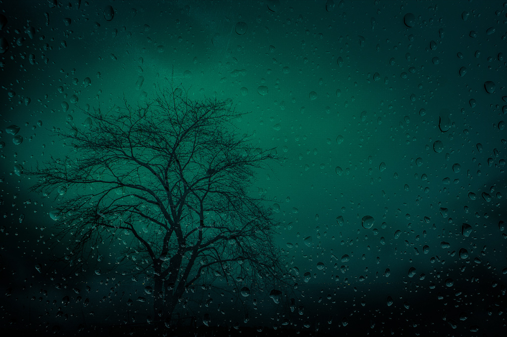 雨の日　車の中から