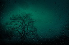 雨の日　車の中から