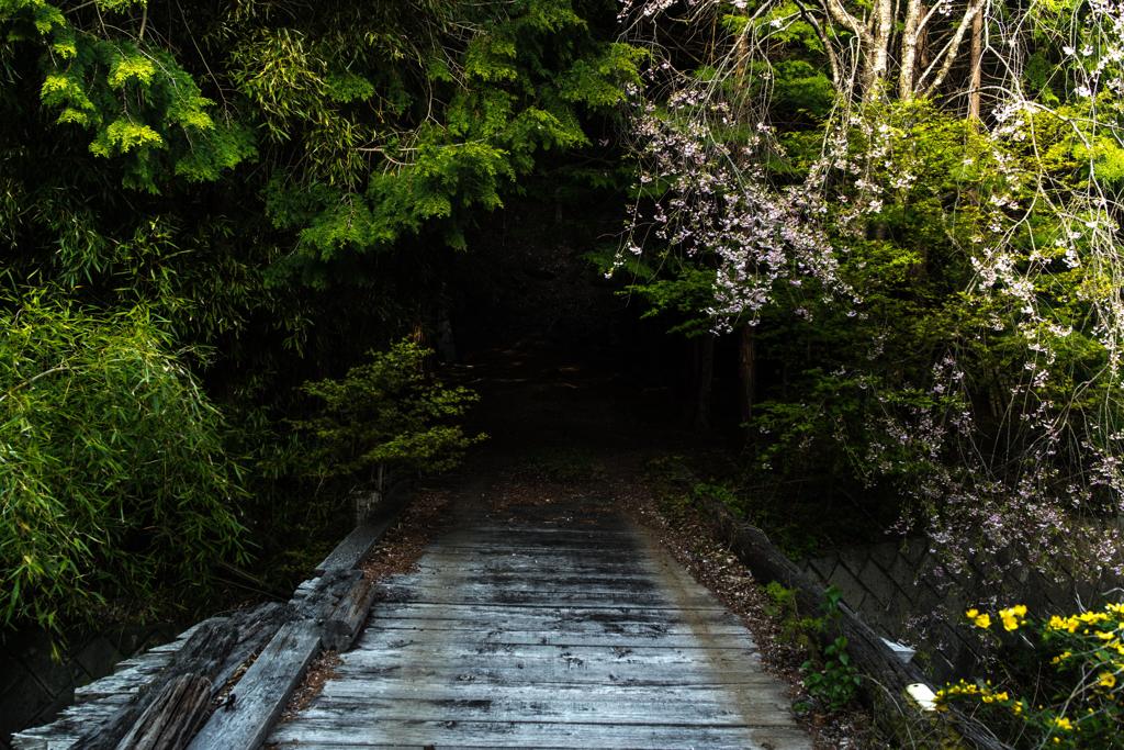 秘密の