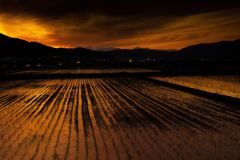 夕焼け田んぼ