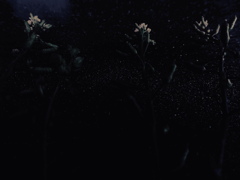 作り込み　背景（夜）