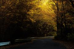 晩秋のS字カーブ