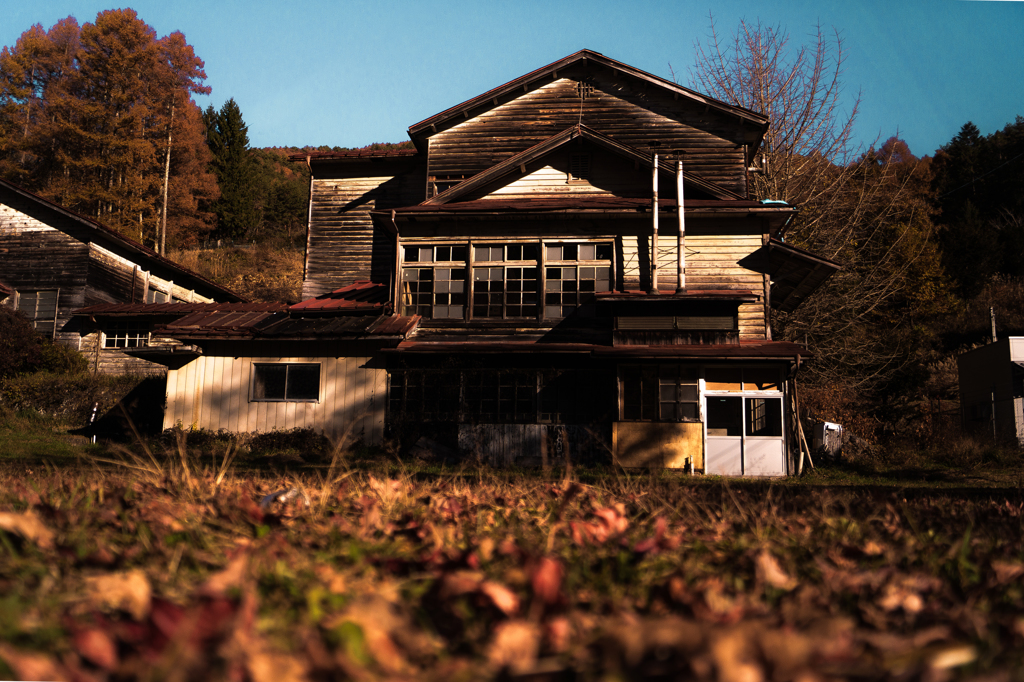 どうでしょう？こんな感じですか？