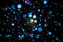 夜を照らせ