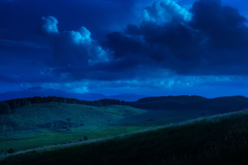 八島ケ原高層湿原