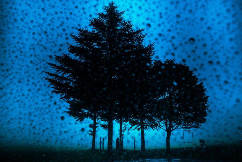 雨の日