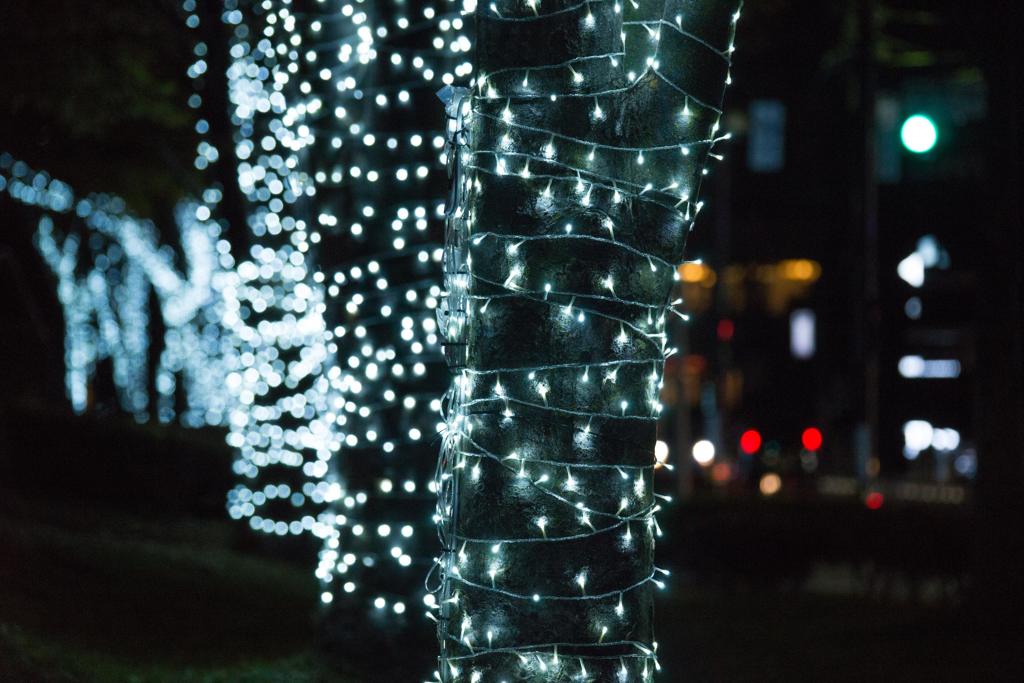 イルミネーション