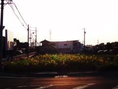 もうすぐ夏が終わる 