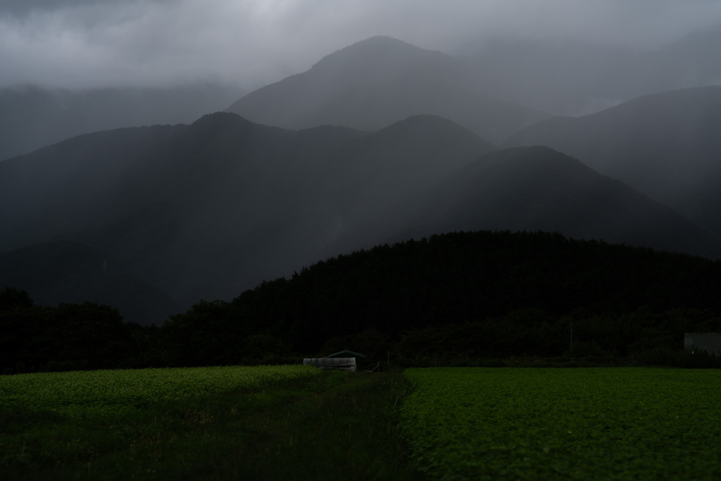 雨が降る山