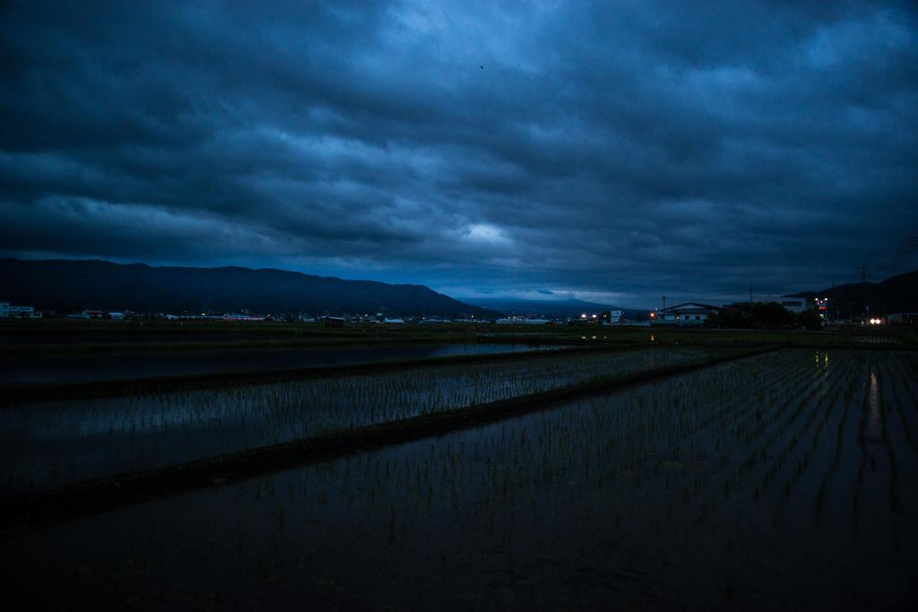 夜の田んぼ