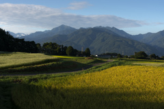 朝