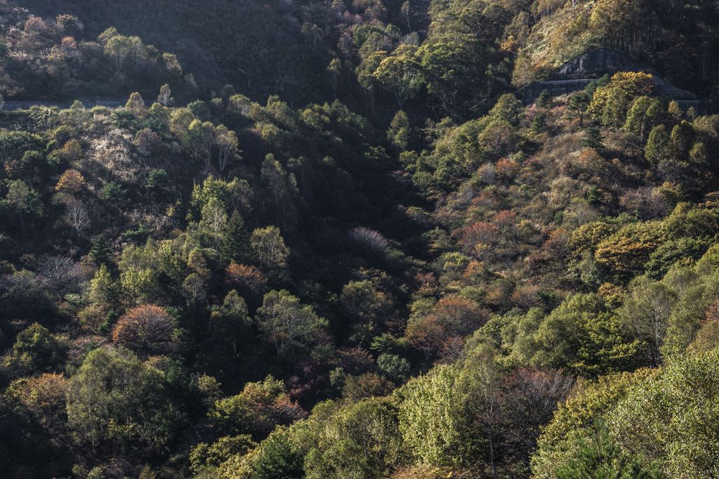 山の紅葉が始まる