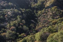山の紅葉が始まる