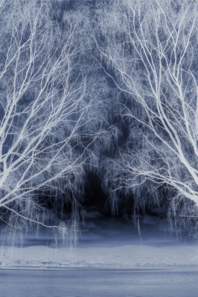 Winter's Tale