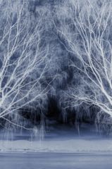 Winter's Tale