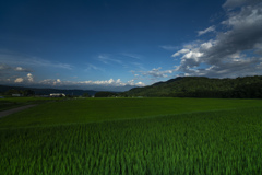 緑と青