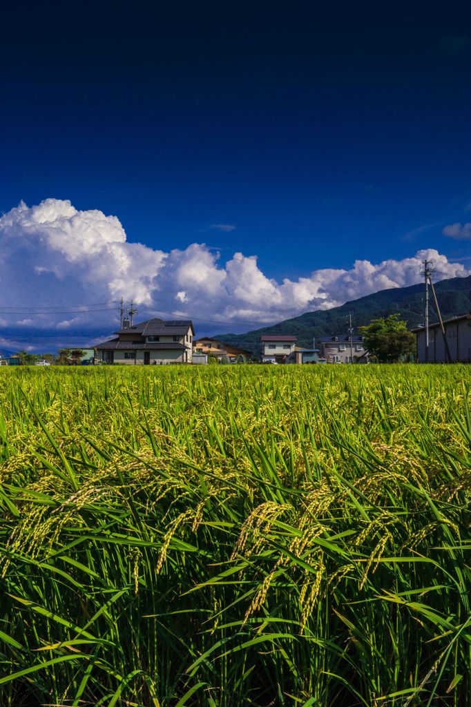 夏が行き、秋が始まる