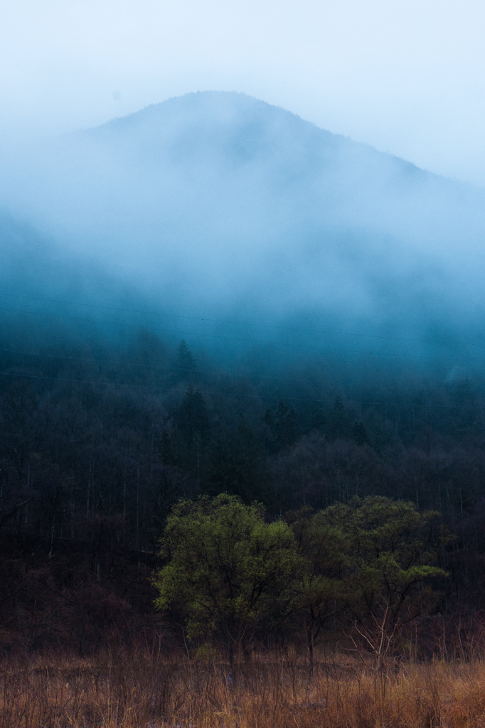雨のふる山