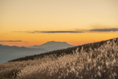 すすきと山