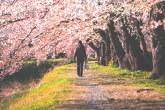 一人歩く