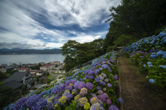 咲く咲く咲く
