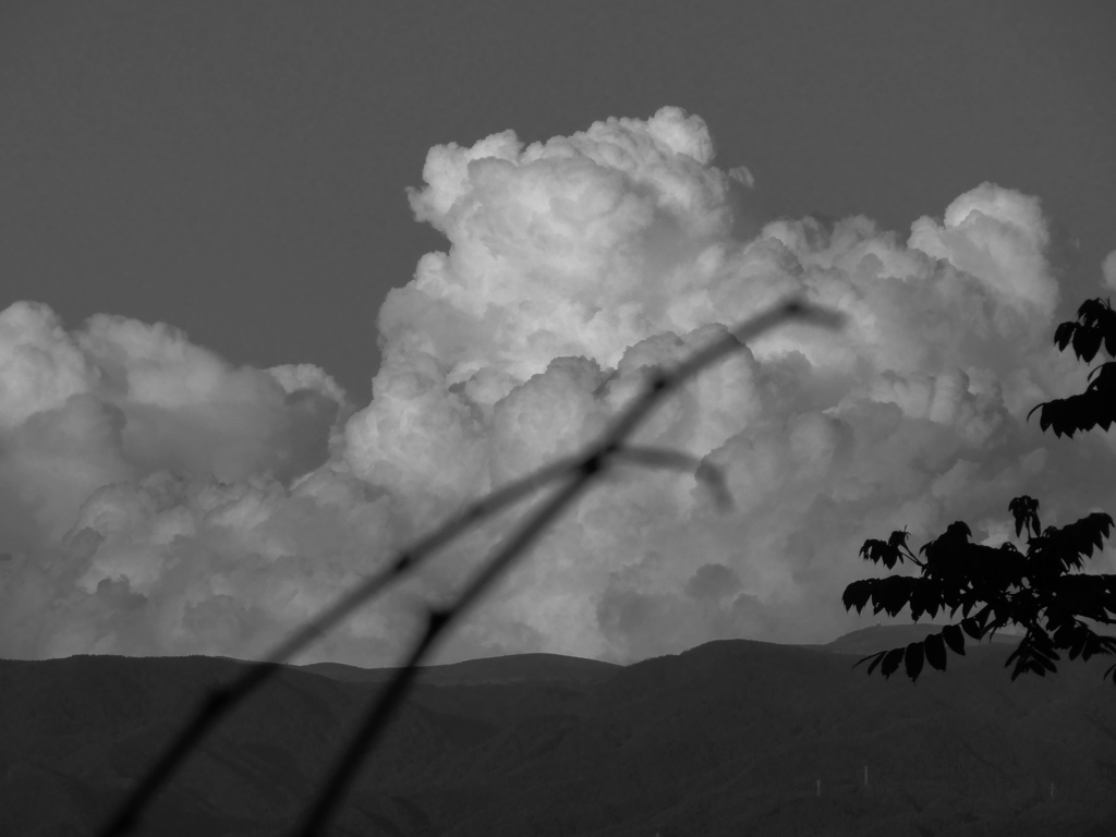 入道雲